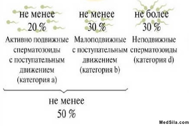 Активность сперматозоидов